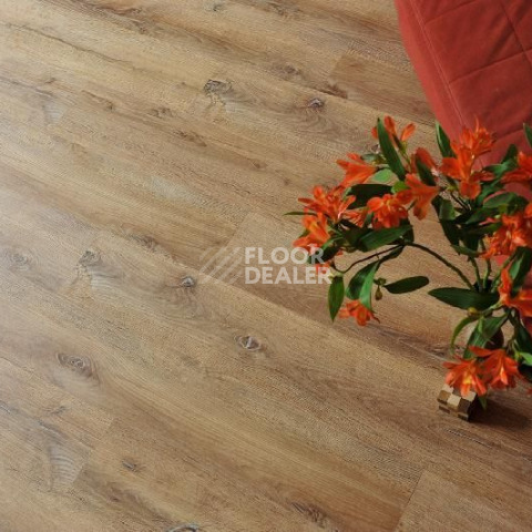Кварцвиниловые полы Ecoclick Rich замковый 4.2мм NOX-1959 Дуб Марракеш фото 1 | FLOORDEALER